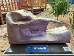 -中国第四纪冰川遗迹陈列馆