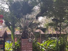 -海南热带野生动植物园