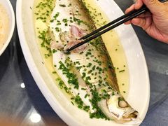 -老绍兴养和饭店(向阳不夜城店)
