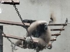 -昆明动物园