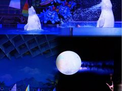 -海合安武汉极地海洋公园