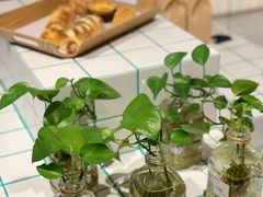 -Dough&Joe团憩(瑞虹天地月亮湾店)