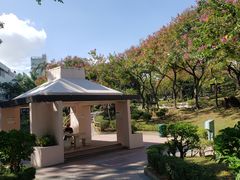 -九龙寨城公园