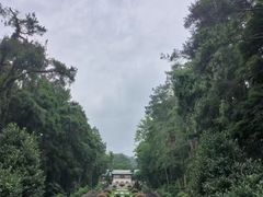 -南岳衡山风景名胜区