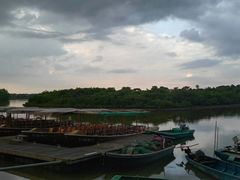 -东寨港红树林旅游区