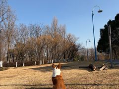 -阳澄湖半岛旅游度假区