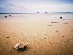 -北海金海湾红树林生态旅游区