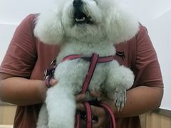 -宠福鑫康馨动物医院·骨科·眼科