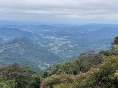 -广州市石门国家森林公园