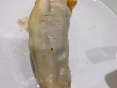 -陶然饺子城(奥体中路店)