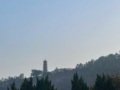 -南沙蒲洲花园