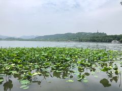-新东方成人英语学习考试·口语·商务(延安路校区)