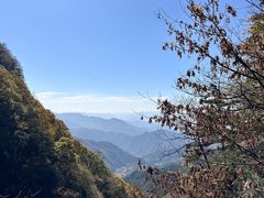 -王顺山国家森林公园