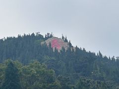 -龙口南山旅游景区