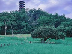 -红花山公园