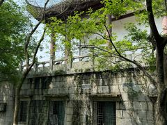 -小凤庭·地道湖北菜武昌鱼·藕汤(38年黄鹤楼店)