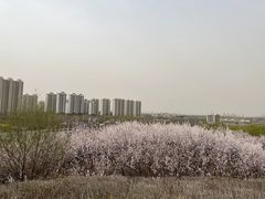 -河北省园博园