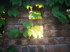 -驿舍·民國老营房院子私房菜(科学会堂店)