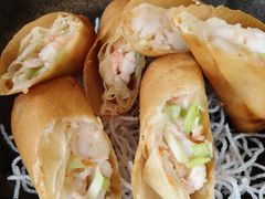 -侨美·唐荔园·40年地道粤菜