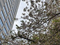 -玛格萝妮比萨屋(四平店)