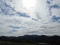 -济南方特东方神画