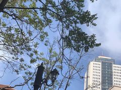 -天津意大利风情旅游区