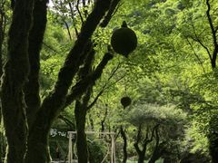 -红崖峡谷景区