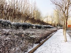 -山东大学(兴隆山校区)