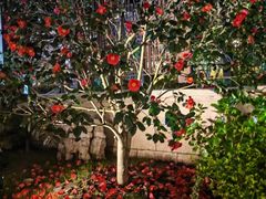 -徐家汇源景区-衡山公园