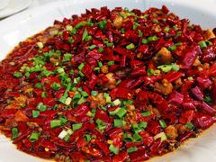 -院8里·少城记忆老川菜(宽窄巷子店)