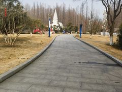 -水杉园