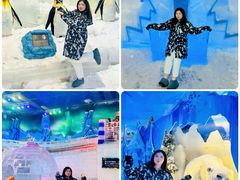 -长鹿旅游休博园