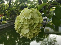 -南京维景国际大酒店(南京博物院店)