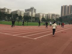 -福田体育公园