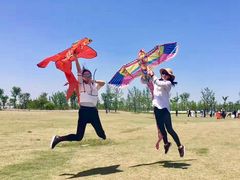 -上海长兴岛郊野公园