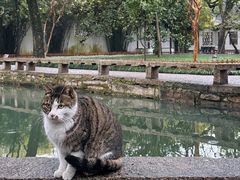 -西园寺
