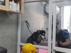 -宠福鑫康馨动物医院·骨科·眼科