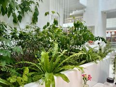 -大树餐厅(红旗街万达店)