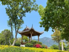 -光明港公园