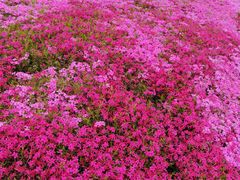 -昆嵛山石门里景区