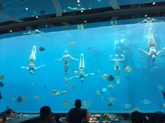景观位-瑞德姆美人鱼海底演艺主题餐厅(亚龙湾店)