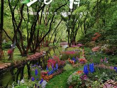 -上海共青森林公园