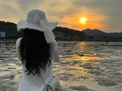 -杨梅坑