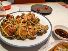 -杨氏青龙虾·羊蝎子(托乐嘉店)