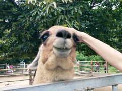 -西安秦岭野生动物园