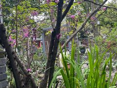 -凤来栖·净庭院·火锅(欧尚店)