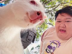 -费瑟代尔野生动物园