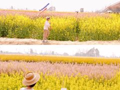 -中国天府农业博览园