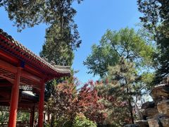 -大觉寺-停车场