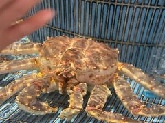 -顺风山庄(水濂山店)